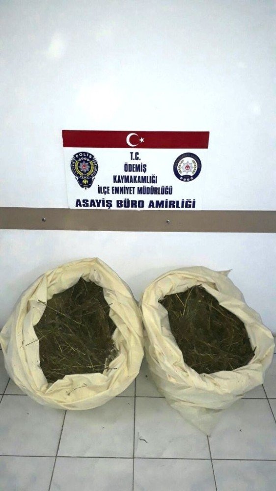 İzmir’de Uyuşturucu Operasyonu: 11 Kilo Esrar Ele Geçirildi