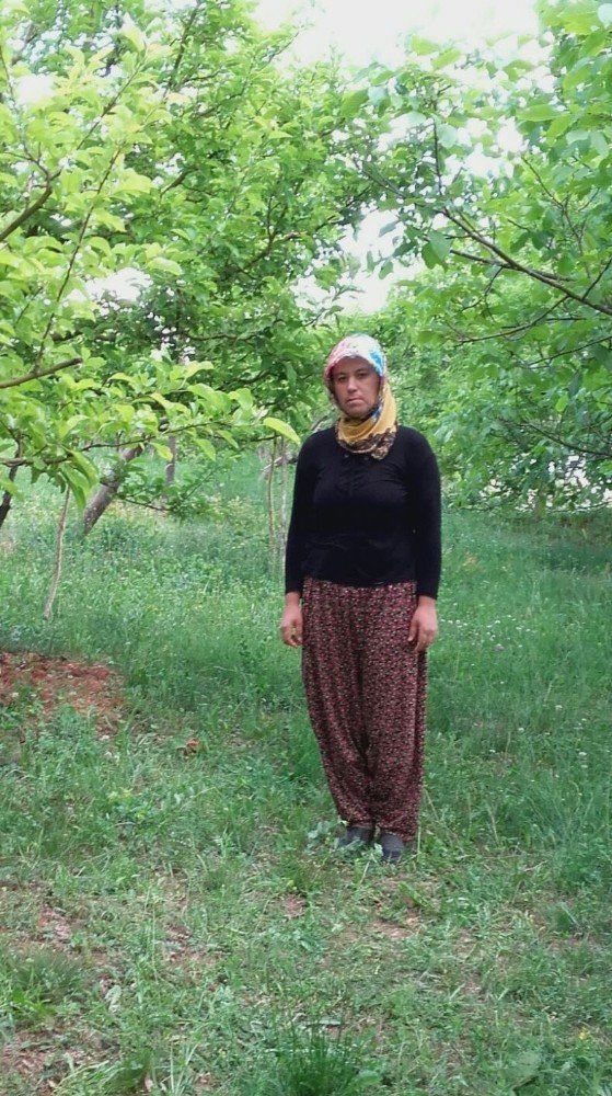 Yayladaki Bahçelerine Giden Kadından 3 Gündür Haber Alınamıyor