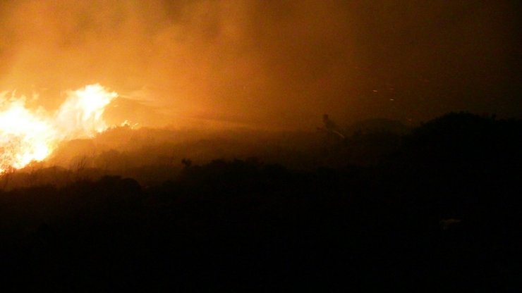 Bodrum’daki Yangın Evlere Sıçramadan Söndürüldü