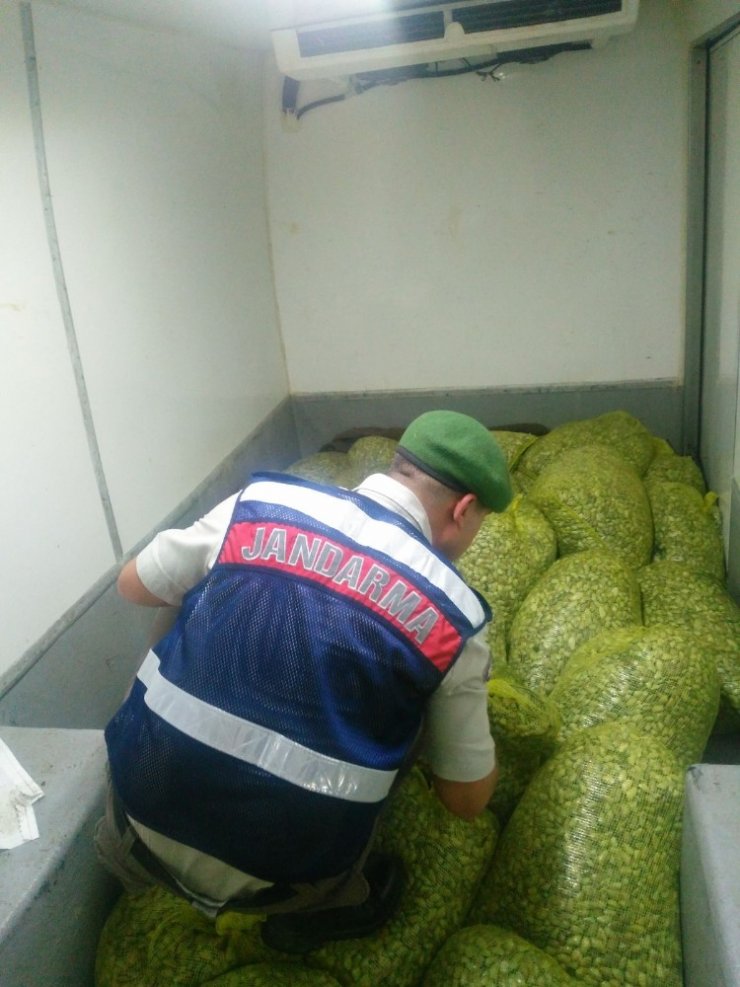 Bursa’da 1 Ton 200 Kilo Kaçak Midye Ele Geçirildi