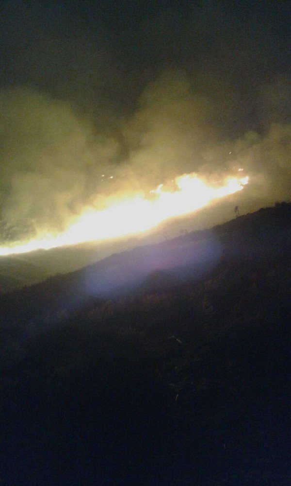 Bodrum’da Orman Yangını