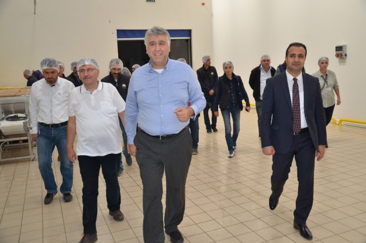 Torbalı’nın Kuru Domatesi Maraş’a Model Oldu