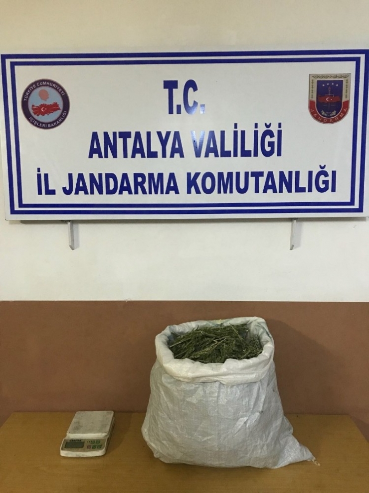 Jandarma’dan Kaçak İçki, Kaçak Sigara Ve Uyuşturucu Operasyonu