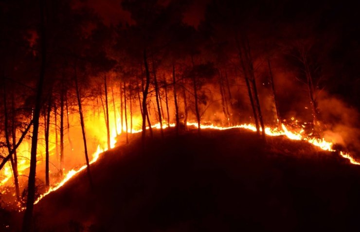 Manavgat’ta Aynı Gece 5 Ayrı Orman Yangını