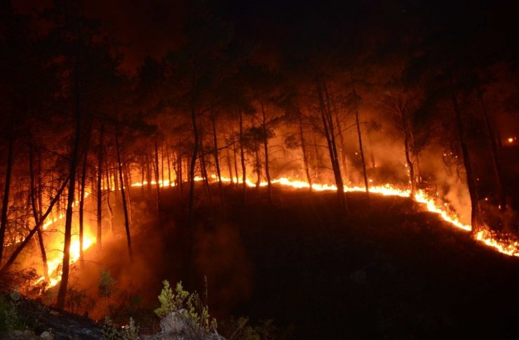 Manavgat’ta Aynı Gece 5 Ayrı Orman Yangını