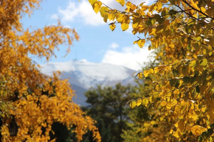 Sonbaharın Sarısına Bürünen Ata Botonik Parkta Kartpostallık Görüntüler