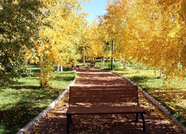 Sonbaharın Sarısına Bürünen Ata Botonik Parkta Kartpostallık Görüntüler