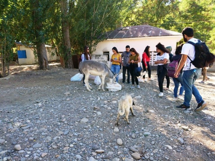 Gönüllüler, Sokak Hayvanlarını Besledi