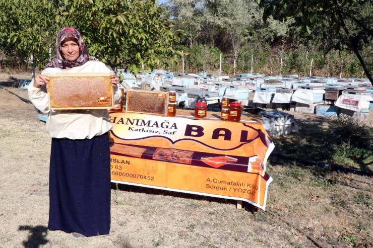 3 Kovan İle İşe Başlayan Ev Hanımı Yılda 1.5 Ton Bal Üretiyor