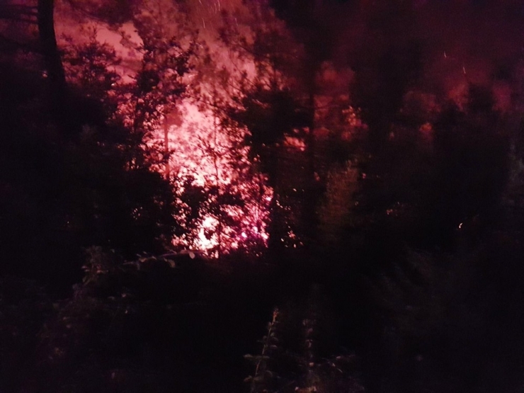 Adana’da Orman Yangını