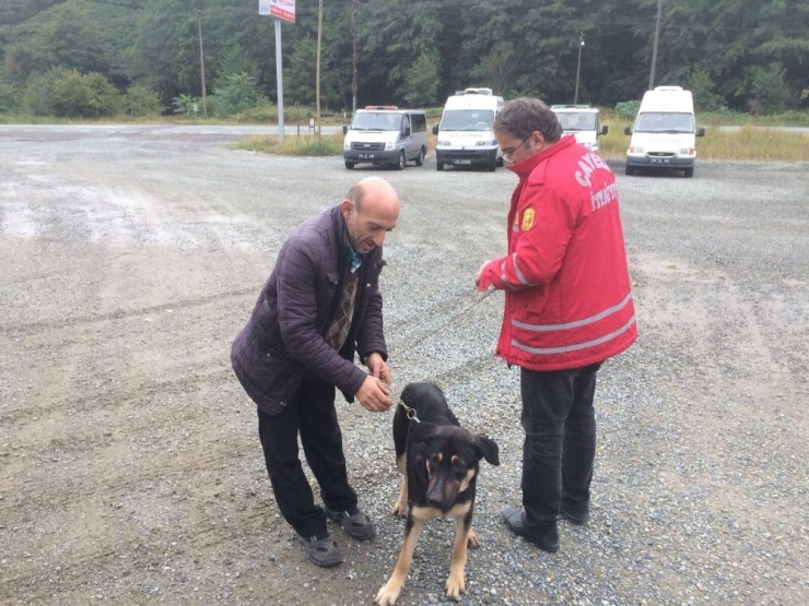 Kayalıklarda Mahsur Kalan Köpeği İtfaiye Ekipleri Kurtardı