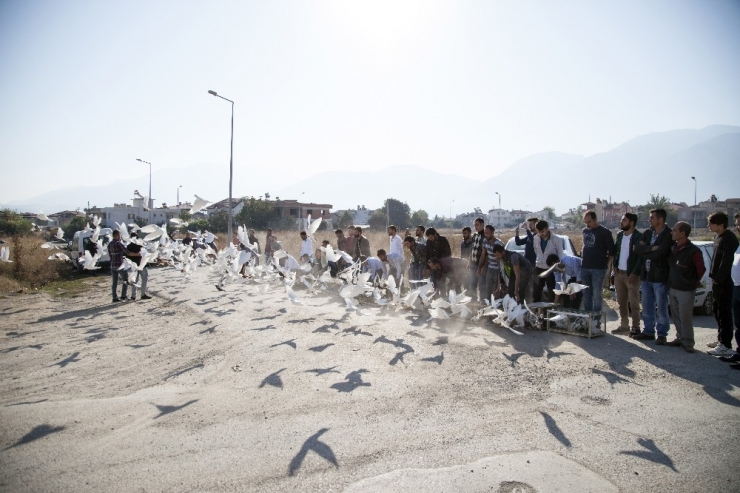 500 Güvercin, Dostluk İçin Havalandı