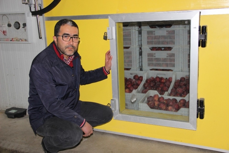 Karaman’da Elma, Soğuk Hava Depolarına Girmeye Başladı