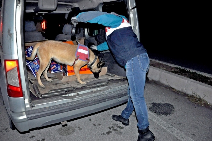 Jandarmadan Narkotik Ve Bomba Arama Köpekli Asayiş Uygulaması