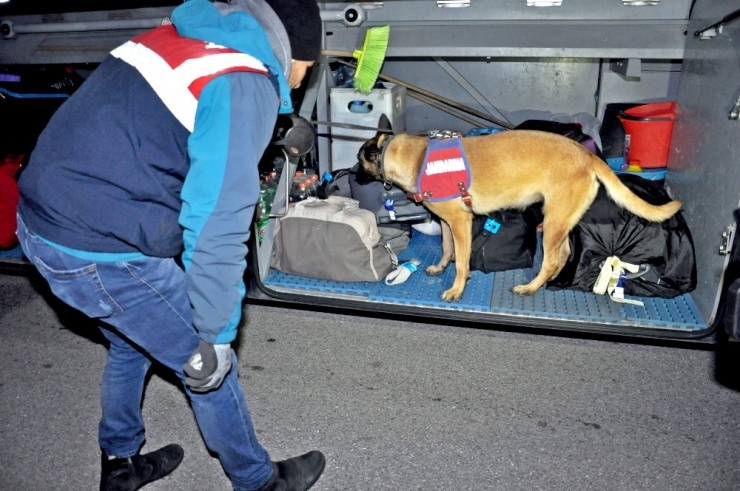 Jandarmadan Narkotik Ve Bomba Arama Köpekli Asayiş Uygulaması