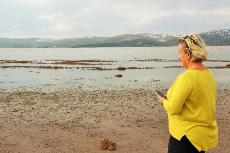 Flamingolar Bodrum’a Akın Etti