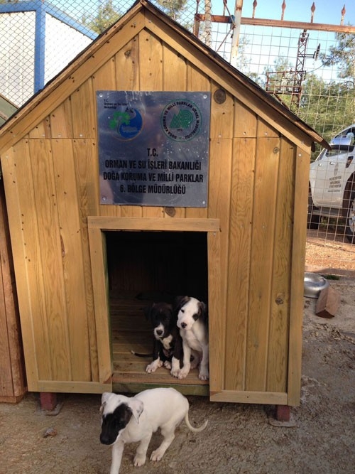 Burdur’da Sokak Hayvanlarına Kulübe