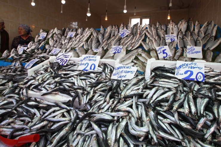 Balık Fiyatları Düşmüyor