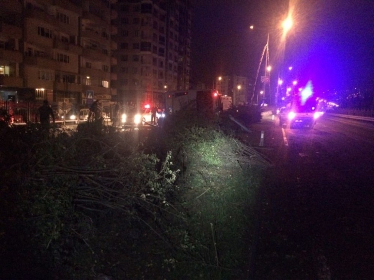 Rize’de 2 Ayrı Trafik Kazasında 1’i Ağır 10 Kişi Yaralandı