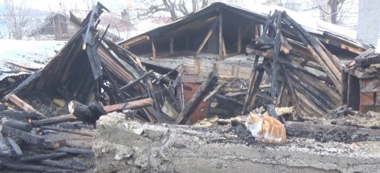 Evi Yanan Vatandaş Kedileri Dışarıda Kaldığı İçin Gözyaşı Döktü