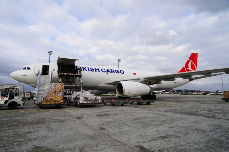 Turkish Cargo Çin’e Penguen Ve Aslan Taşıdı