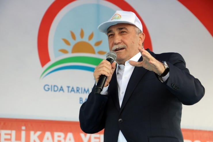 Bakan Fakıbaba: “Şanlıurfa Türkiye’nin Kaba Yem İhtiyacının Yüzde 40’ını Karşılayacak”
