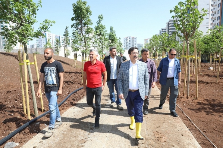 Diyarbakır’ın Çehresini Değiştirecek Çalışmalar Devam Ediyor