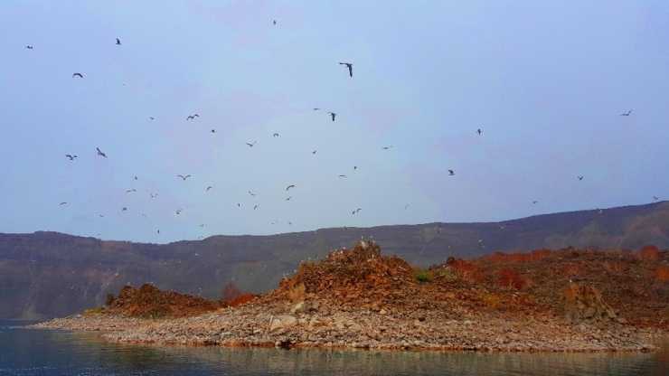 Nemrut Krater Gölü’ndeki ’Martı Adası’ Keşfedilmeyi Bekliyor