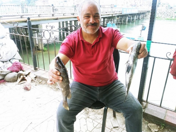 Balıkçıların Ağına Taş Balığı Olarak Bilinen Ekşina Takıldı
