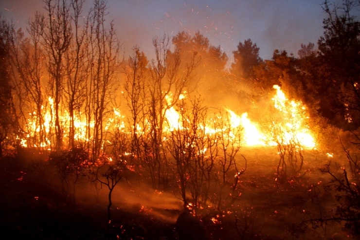 Seydikemer’de Orman Yangını: 20 Hektar Alan Yandı