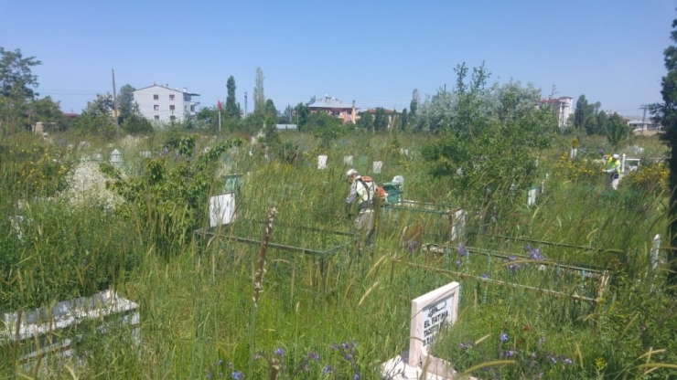 Van’daki Mezarlıklar Yabani Otlardan Arındırılıyor