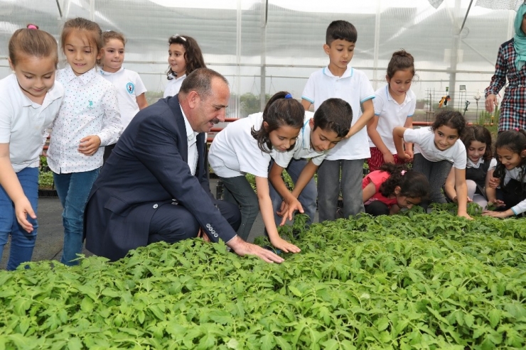 Başkan Duruay Öğrencilere Organik Sebze Fidesi Dağıttı
