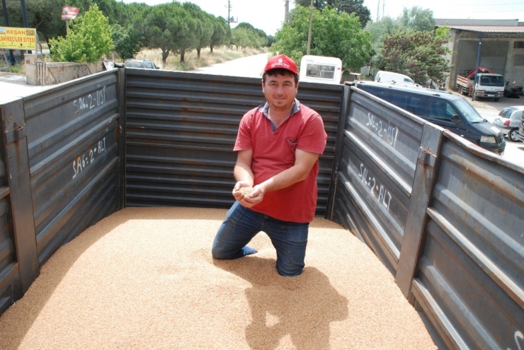 Keşan’da Yılın İlk Buğdayı 2.10 Tl’den Satıldı