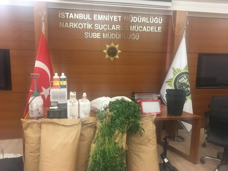İstanbul’da Yılın İlk 5 Ayında 6 Ton Uyuşturucu Ele Geçirildi