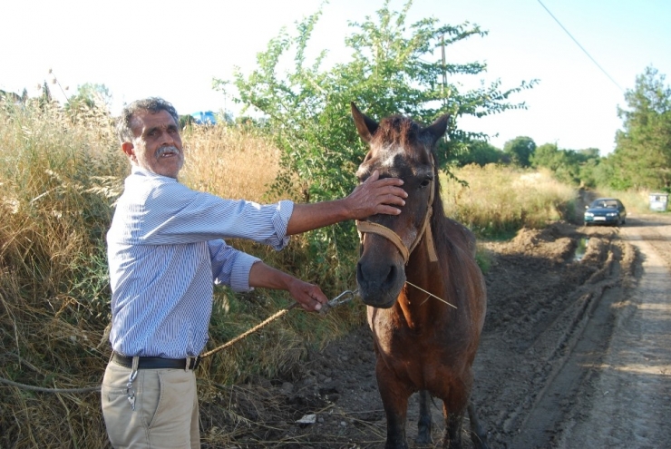 Tekirdağ’da Çamura Saplanan Atı İtfaiye Kurtardı