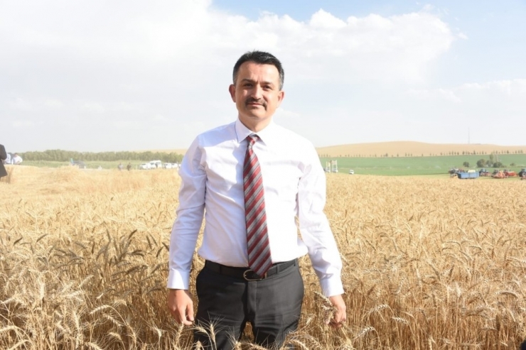 Tarım Bakanı Pakdemirli: "Fiyatlar Üreticimizi Memnun Ediyor"
