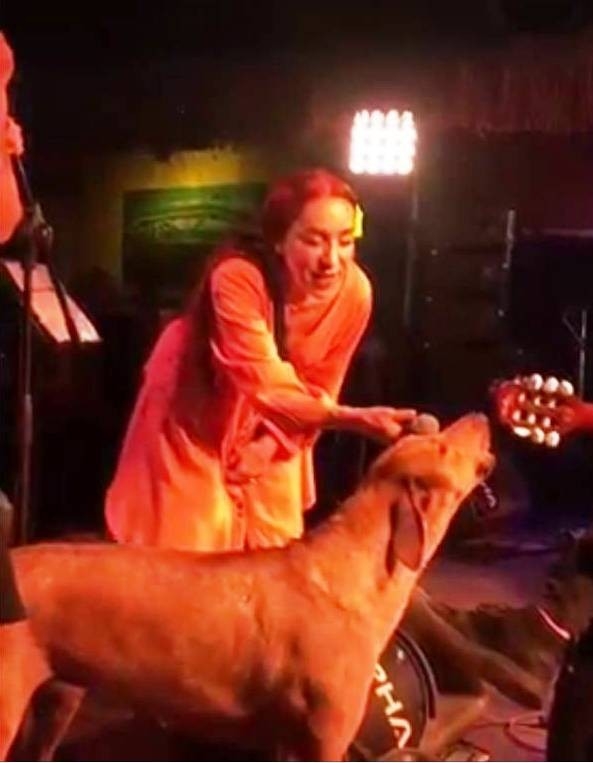 Leman Sam Şarkı Söylerken Sokak Köpeği Sahneye Fırladı