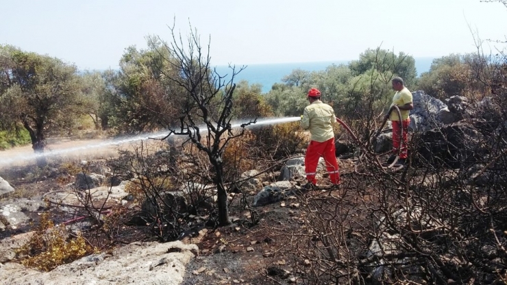 Antalya’da Antik Kent Yakınında Çıkan Yangın Korkuttu