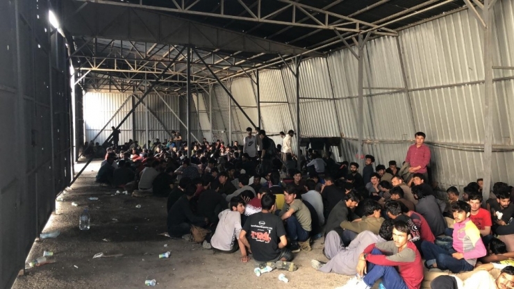 Van’da 301 Kaçak Göçmen Yakalandı