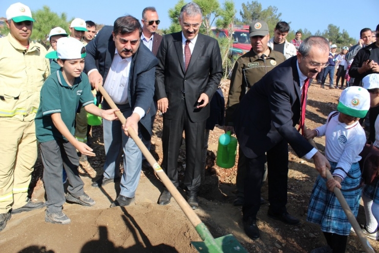 İzmir’de De ’Fidanlar Fidanlarla Büyüyecek’