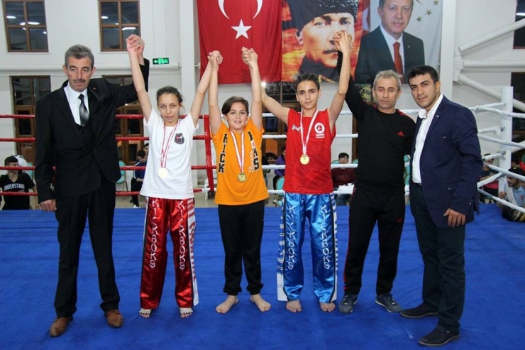 Osmaneli’nde Kick Boks Turnuvası