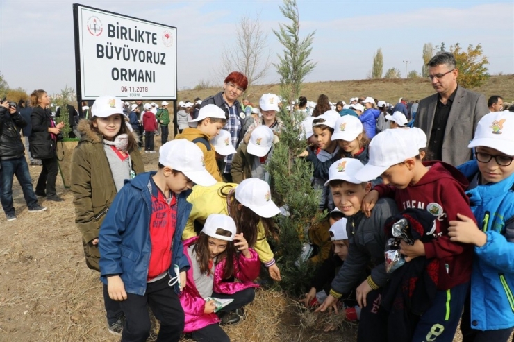‘Birlikte Büyüyoruz Ormanı’ Minik Kalplerle Kuruldu