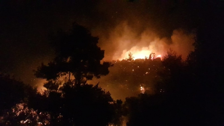Antalya’da 4 Mahalleyi Tehdit Eden Orman Yangını