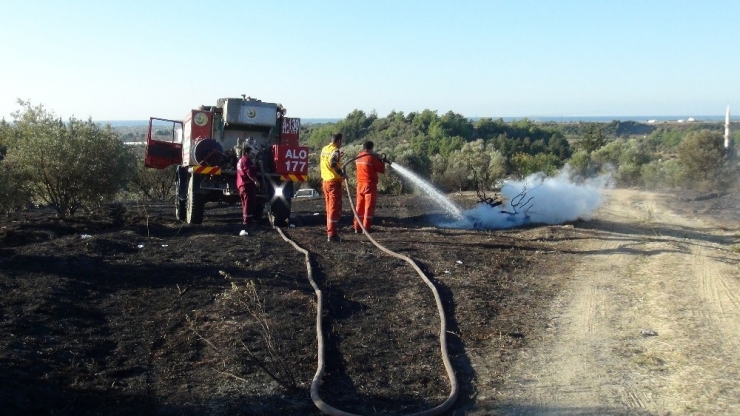 Antalya’daki Orman Yangını