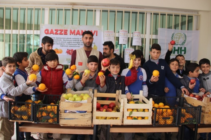 Minik Öğrenciler Gazze’ye Meyve Yardım Gönderiyor