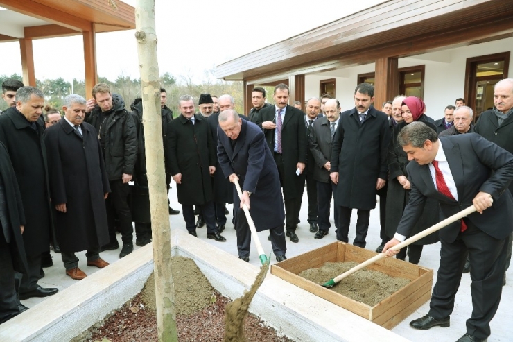 Cumhurbaşkanı Erdoğan, 15 Temmuz Millet Bahçesini Gezdi