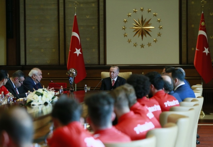 Cumhurbaşkanı Erdoğan, Milli Sporcuları Kabul Etti
