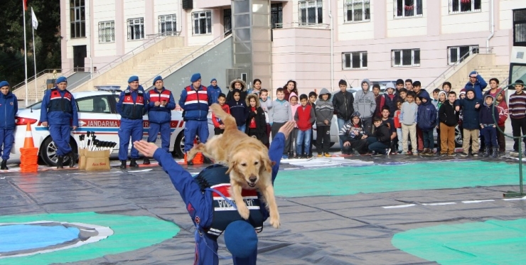 Jandarmanın Eğitimli Köpeklerinden Nefes Kesen Gösteri