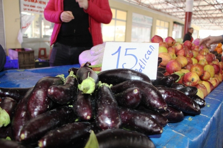Patlıcan, Üretim Merkezi Antalya’da 15 Tl