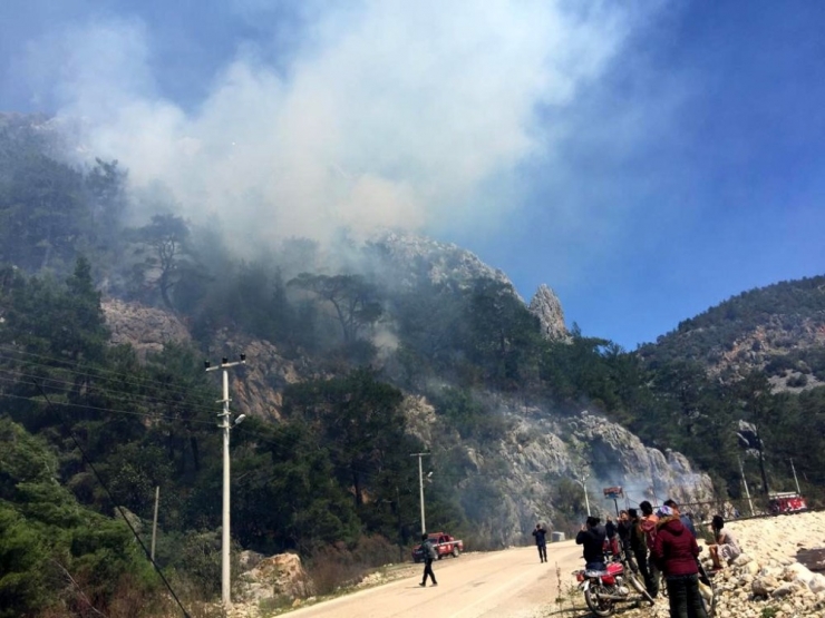 Olympos’ta Çıkan Orman Yangını Söndürüldü